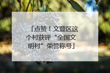 点赞！文登区这个村获评“全国文明村”荣誉称号