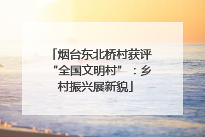 烟台东北桥村获评“全国文明村”：乡村振兴展新貌