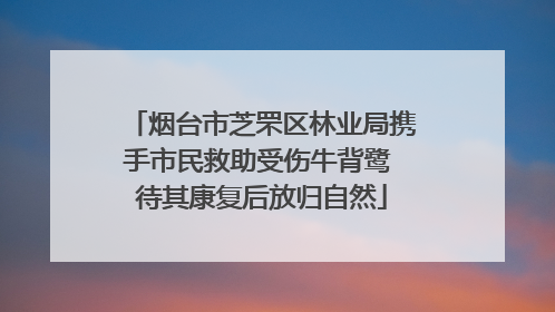 烟台市芝罘区林业局携手市民救助受伤牛背鹭 待其康复后放归自然