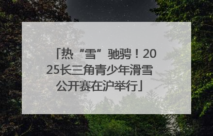 热“雪”驰骋！2025长三角青少年滑雪公开赛在沪举行