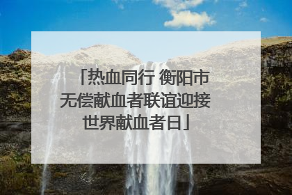 热血同行 衡阳市无偿献血者联谊迎接世界献血者日