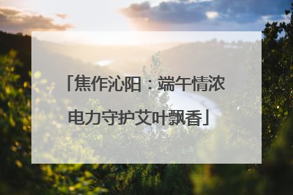 焦作沁阳：端午情浓 电力守护艾叶飘香