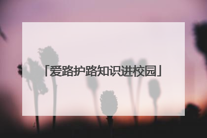 爱路护路知识进校园