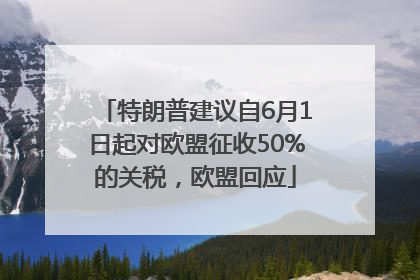 特朗普建议自6月1日起对欧盟征收50%的关税，欧盟回应