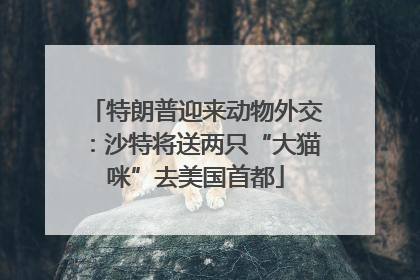 特朗普迎来动物外交：沙特将送两只“大猫咪”去美国首都