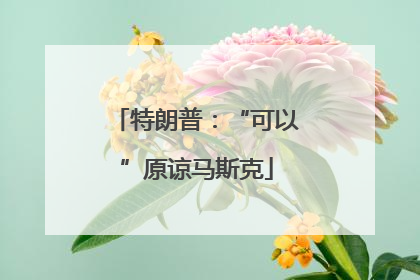 特朗普：“可以”原谅马斯克
