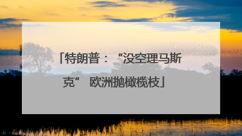 特朗普：“没空理马斯克” 欧洲抛橄榄枝