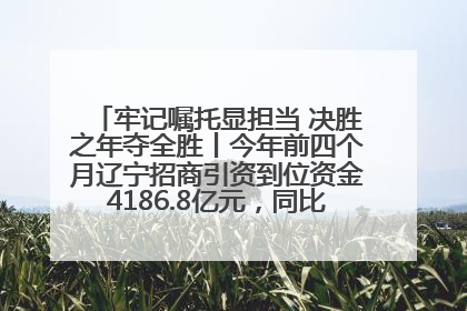 牢记嘱托显担当 决胜之年夺全胜丨今年前四个月辽宁招商引资到位资金4186.8亿元，同比增长17.4%