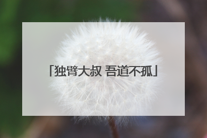 独臂大叔 吾道不孤