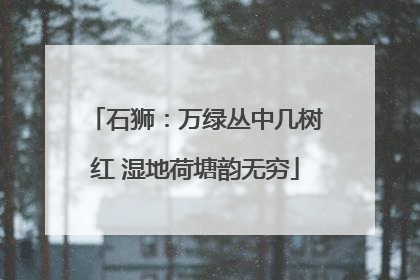 石狮：万绿丛中几树红 湿地荷塘韵无穷