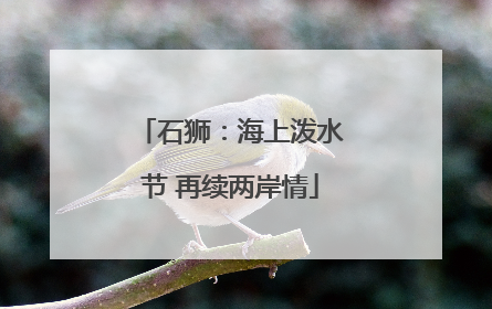 石狮：海上泼水节 再续两岸情