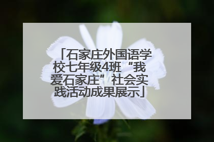 石家庄外国语学校七年级4班“我爱石家庄”社会实践活动成果展示