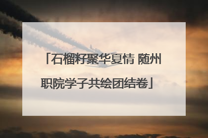 石榴籽聚华夏情 随州职院学子共绘团结卷