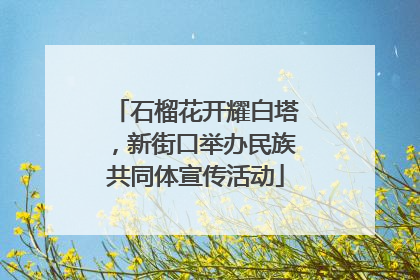 石榴花开耀白塔，新街口举办民族共同体宣传活动