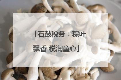 石鼓税务：粽叶飘香 税润童心