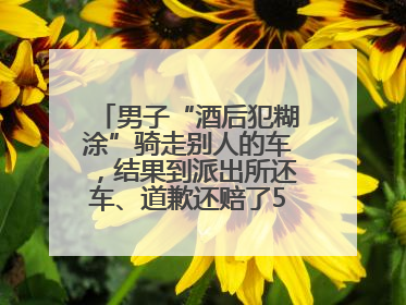 男子“酒后犯糊涂”骑走别人的车，结果到派出所还车、道歉还赔了500元