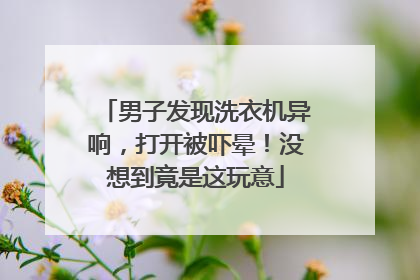 男子发现洗衣机异响，打开被吓晕！没想到竟是这玩意