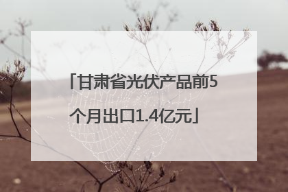 甘肃省光伏产品前5个月出口1.4亿元