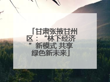 甘肃张掖甘州区：“林下经济”新模式 共享绿色新未来