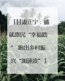 甘肃正宁：铺就惠民“幸福路” 跑出乡村振兴“加速度”