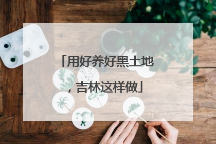 用好养好黑土地，吉林这样做