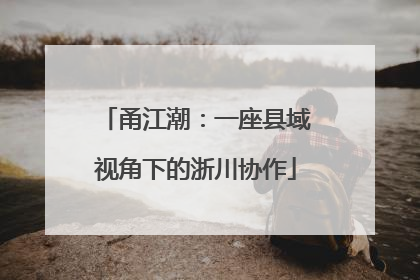 甬江潮：一座县域视角下的浙川协作