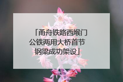甬舟铁路西堠门公铁两用大桥首节钢梁成功架设