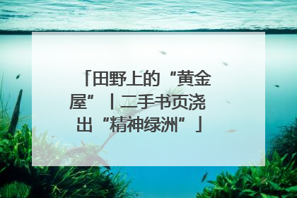 田野上的“黄金屋”丨二手书页浇出“精神绿洲”