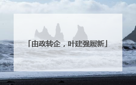 由政转企，叶建强履新