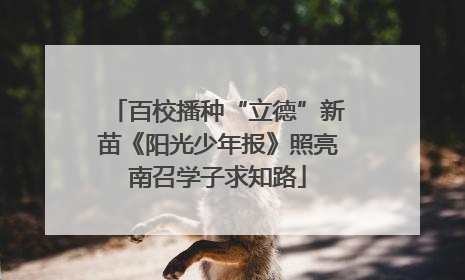 百校播种“立德”新苗《阳光少年报》照亮南召学子求知路
