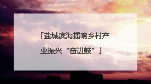 盐城滨海擂响乡村产业振兴“奋进鼓”