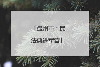 盘州市：民法典进军营