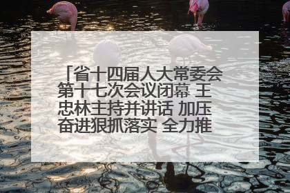 省十四届人大常委会第十七次会议闭幕 王忠林主持并讲话 加压奋进狠抓落实 全力推动支点建设成势见效
