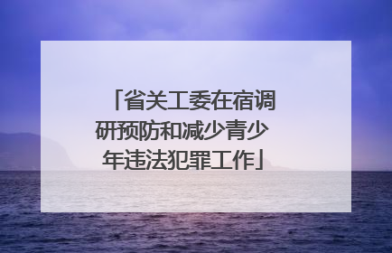省关工委在宿调研预防和减少青少年违法犯罪工作