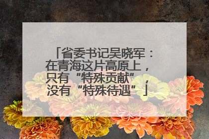 省委书记吴晓军：在青海这片高原上，只有“特殊贡献”，没有“特殊待遇”