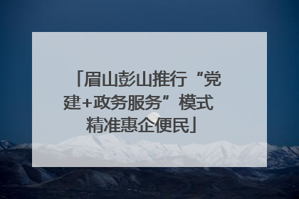眉山彭山推行“党建+政务服务”模式 精准惠企便民