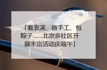 看表演、做手工、包粽子……北京多社区开展丰富活动庆端午
