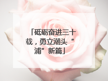 砥砺奋进三十载，勇立潮头“浦”新篇