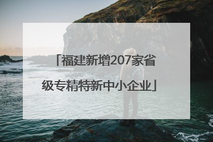 福建新增207家省级专精特新中小企业
