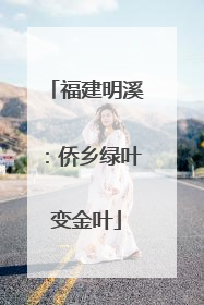 福建明溪：侨乡绿叶变金叶