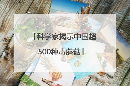 科学家揭示中国超500种毒蘑菇