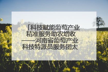 科技赋能葡萄产业 精准服务助农增收——河南省葡萄产业科技特派员服务团太康县科技服务纪实