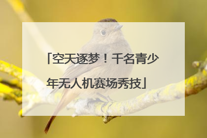 空天逐梦！千名青少年无人机赛场秀技