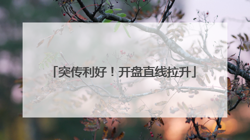 突传利好！开盘直线拉升