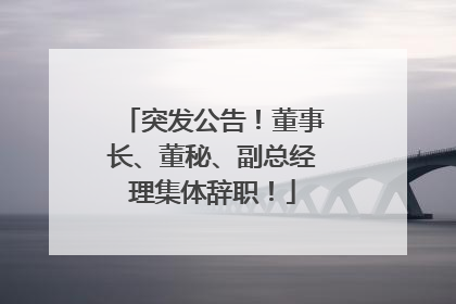 突发公告！董事长、董秘、副总经理集体辞职！