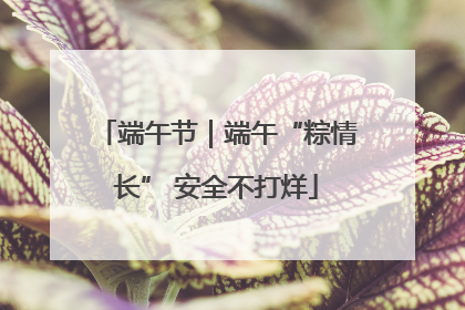 端午节｜端午“粽情长” 安全不打烊