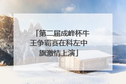 第二届成峰杯牛王争霸赛在科左中旗激情上演