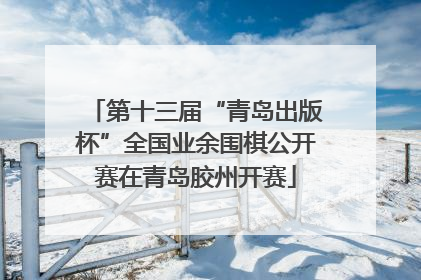 第十三届“青岛出版杯”全国业余围棋公开赛在青岛胶州开赛