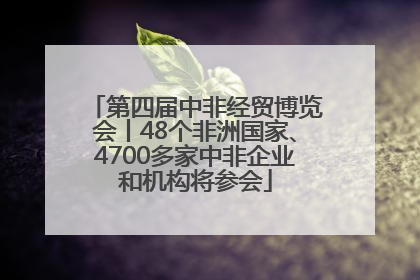 第四届中非经贸博览会丨48个非洲国家、4700多家中非企业和机构将参会