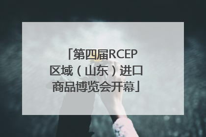 第四届RCEP区域（山东）进口商品博览会开幕